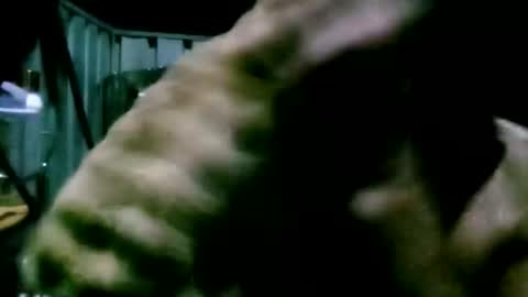 mattlesnake_101 online show from April 18, 5:50 pm