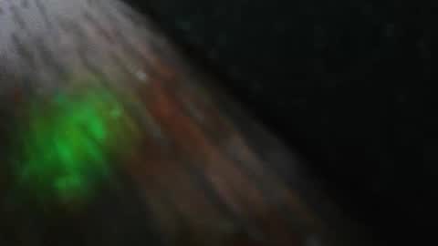 mattw31019 online show from February 24, 8:29 pm