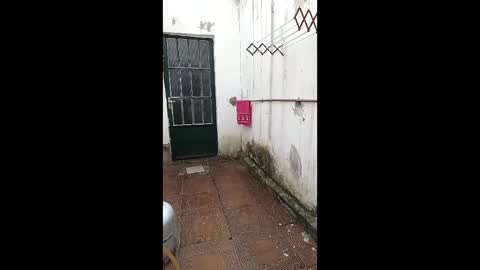 Snapshot of mature_boy77 chatting on February 3, 5:29 pm mature_boy77 online show from February 3, 5:29 pm