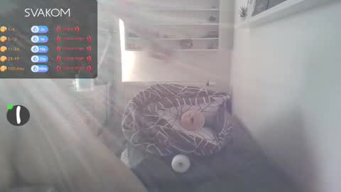 Snapshot of matyastethal2 chatting on February 19, 8:12 am Matyas online show from February 19, 8:12 am