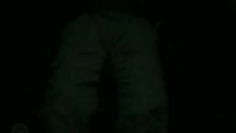 Lira online show from January 15, 8:08 am