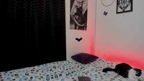 Alex online show from March 3, 4:36 am