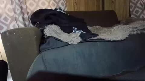 Max online show from February 1, 7:15 am