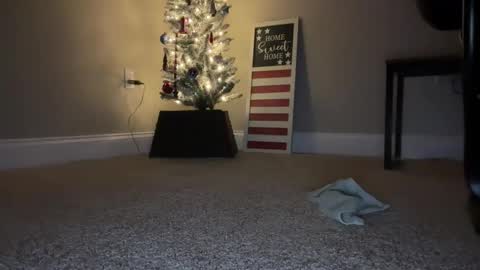 Snapshot of maxx276828 chatting on November 22, 4:44 am maxx276828 online show from November 22, 4:44 am