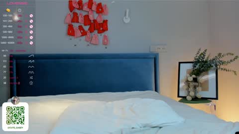 My name Casey  online show from January 26, 10:13 pm