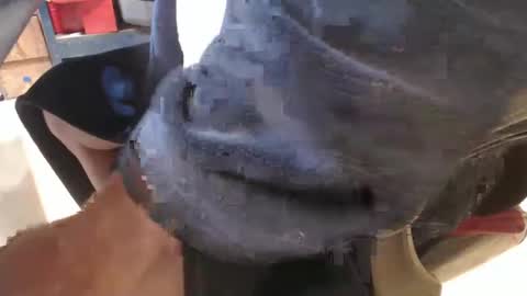 mee9090e900 online show from September 19, 11:11 am