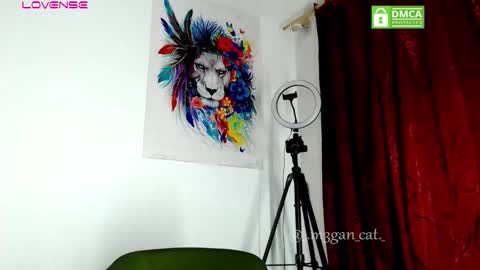 megan_cat online show from November 11, 11:21 am