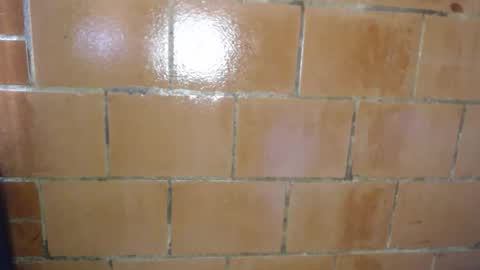 Megan and sophi online show from April 9, 8:25 pm