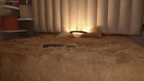     online show from November 16, 12:11 pm