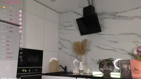 Michelle online show from January 23, 2:17 pm