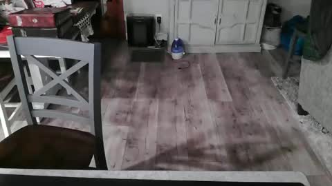 GlamTransGoddess online show from February 26, 12:27 am