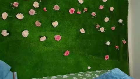 megatitts_ online show from February 22, 6:46 am