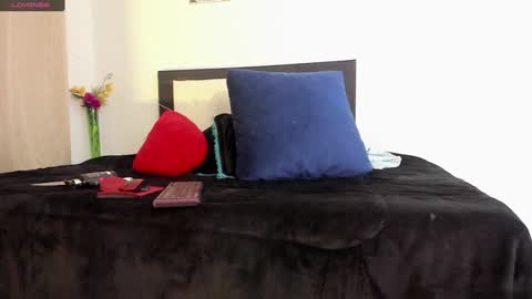 melaniie_roussel online show from December 22, 4:06 am