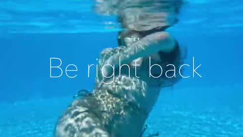 Adel online show from November 6, 2:40 pm