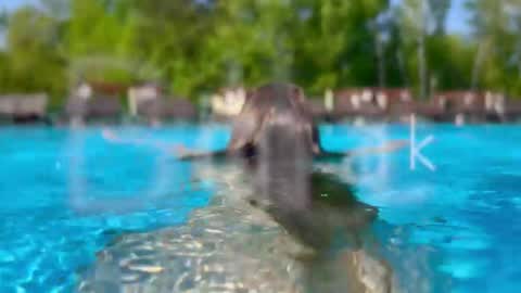 Snapshot of melanybunny chatting on January 14, 7:08 pm Adel online show from January 14, 7:08 pm