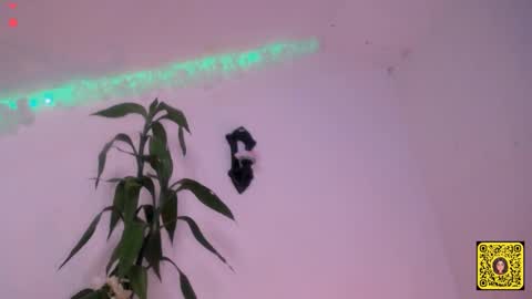 melissa online show from September 20, 1:56 pm