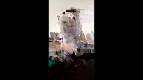 melissaknowles46 online show from February 1, 12:59 pm