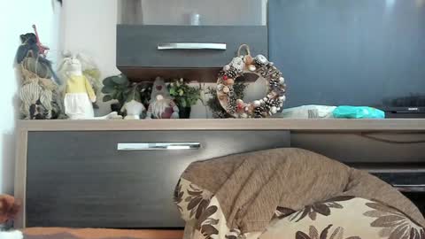 MellyMell  online show from January 8, 10:58 pm