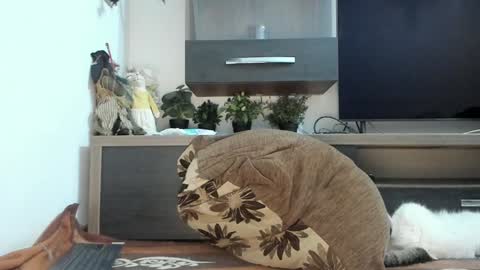 MellyMell  online show from March 5, 11:05 pm