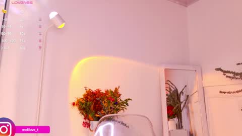 Melissa online show from January 18, 9:13 pm