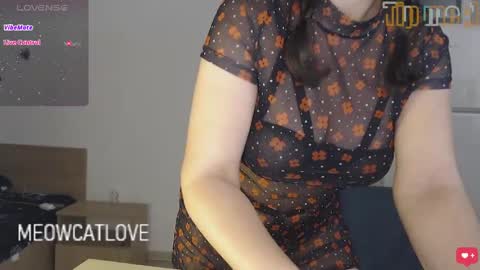 Snapshot of meowcatlove chatting on December 6, 10:08 pm meowcatlove online show from December 6, 10:08 pm