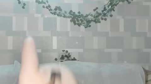 meowcr online show from February 2, 3:00 pm