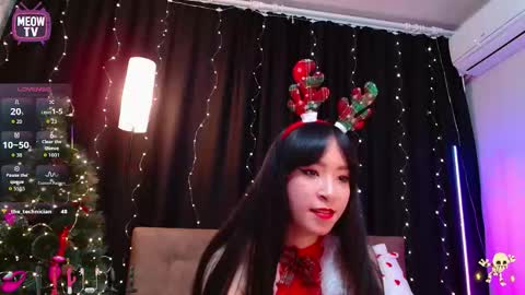 meowkami online show from December 23, 12:30 am