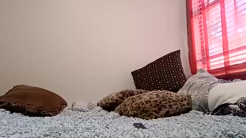 Snapshot of meowzers777 chatting on December 15, 6:48 pm meowzers777 online show from December 15, 6:48 pm