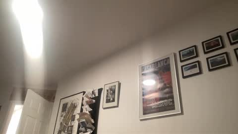 metallica92786 online show from December 20, 12:07 am