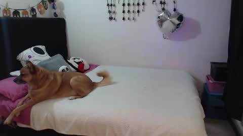 mia online show from February 3, 10:59 pm