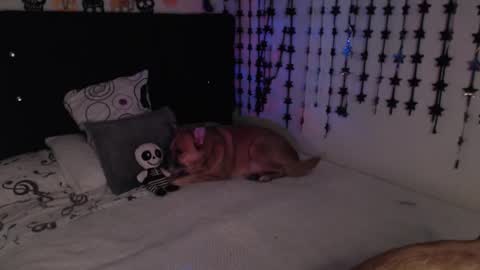 mia online show from February 18, 11:33 pm