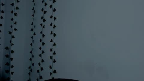 MIA online show from September 23, 9:18 pm