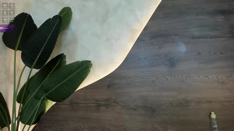 mia_lacy online show from January 30, 1:55 am