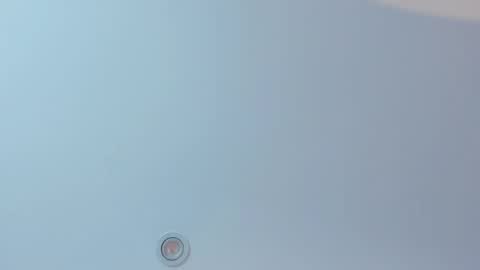 Mia   -5 7001400 Follow  online show from February 11, 1:05 pm