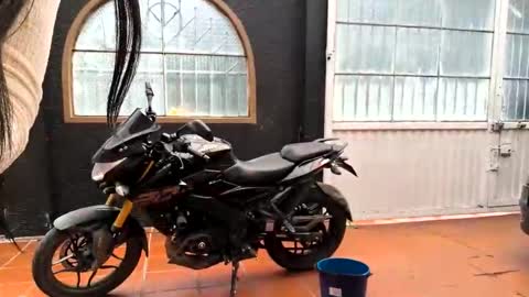 miaoconell online show from October 13, 7:03 pm