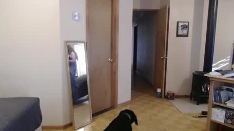 Michelle online show from February 13, 3:56 pm