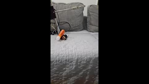 mickal89378933 online show from May 8, 12:43 pm