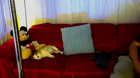 Mickey online show from February 28, 12:43 am