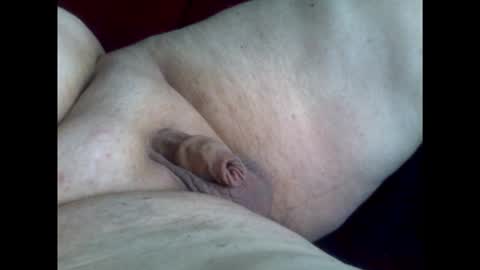 micropimmel online show from January 8, 1:02 pm