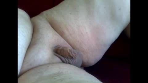 micropimmel online show from January 18, 12:53 pm