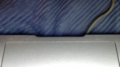 midiin online show from December 5, 6:00 pm