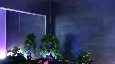 Alice online show from March 7, 11:07 am