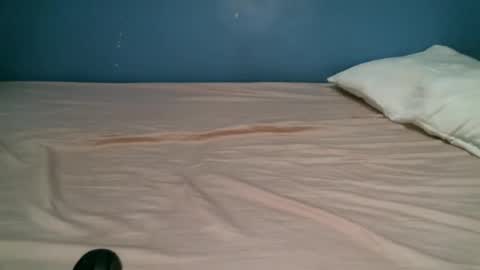 Caddy online show from November 20, 8:36 am