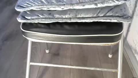 mike26051 online show from December 15, 3:27 pm