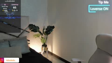 Mike Belle online show from February 13, 12:13 am