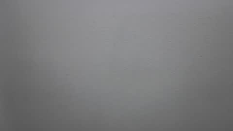 Snapshot of mikehannigan123 chatting on February 19, 4:47 pm mikehannigan123 online show from February 19, 4:47 pm