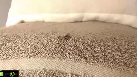 Mikell Williams online show from March 12, 8:52 pm