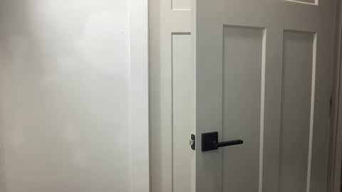 HungCollege online show from November 17, 3:34 am