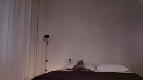 milky__way_ online show from October 5, 3:10 pm