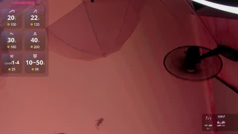 Ana Maria online show from February 1, 12:40 am